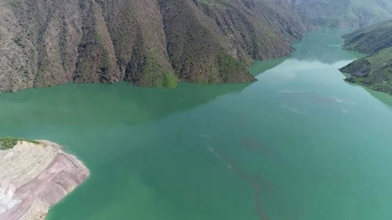 Terörün temizlendiği bölgeden ülke ekonomisine 40 milyon dolar katkı
