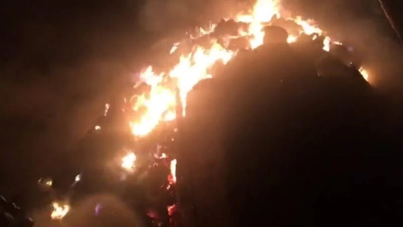 Hayvanları için almıştı, hepsi yangında kül oldu
