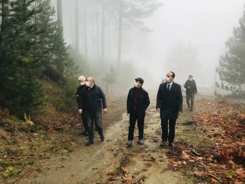 Vali Aktaş, bal ormanları proje sahasını gezdi
