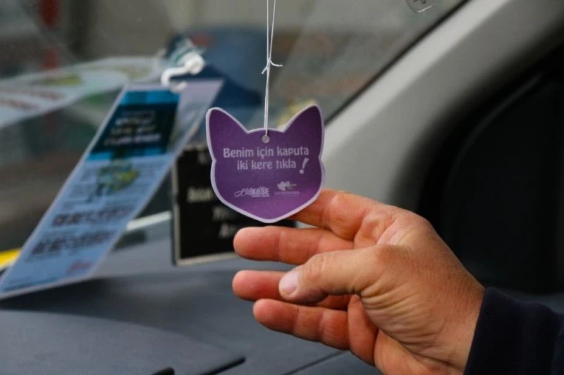 Safranbolu Belediyesi’nden sokak kedileri için “Kaputa Tıkla” projesi
