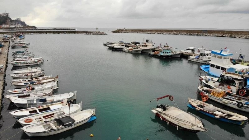 Hamside tehlikeye dikkat çekip böyle uyardı; 