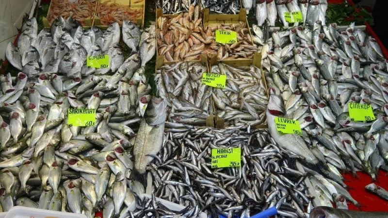 Çanakkale’de balıkçı tezgahları hafta sonu açık olabilecek
