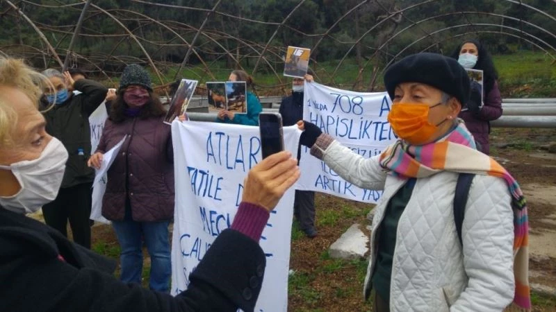 Büyükada’da “Ruam”dan itlaf edilen atlar ölüm yıl dönümünde anıldı
