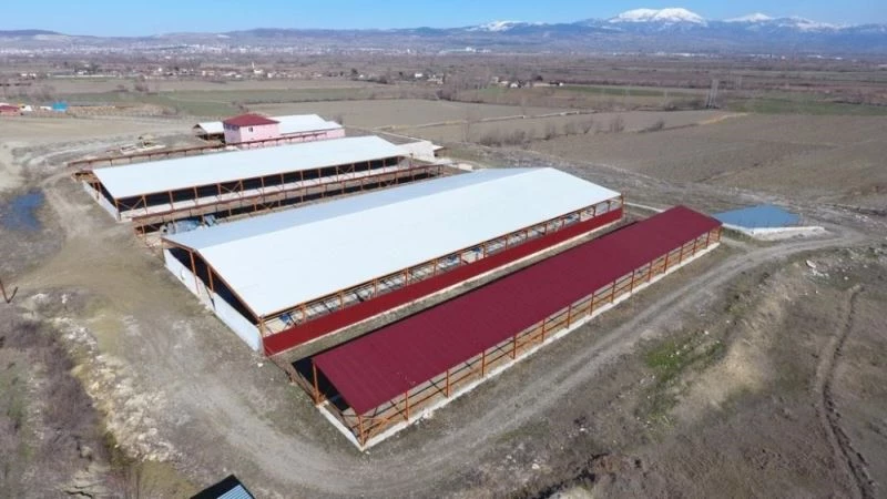 2 yıl önce eylem yapmışlardı, köylerindeki 700 başlık besi çiftliği atıl duruma geldi
