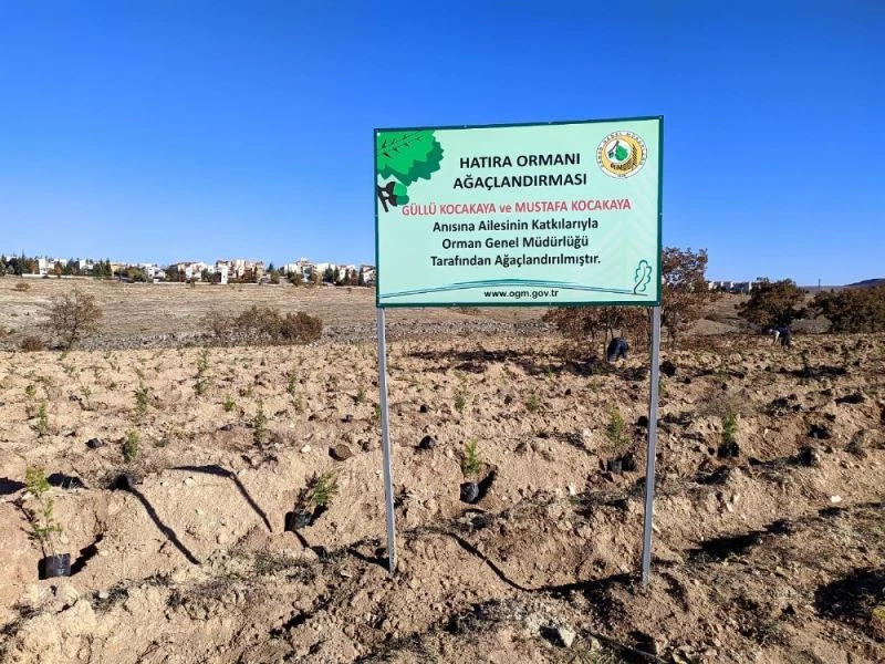 Kocakaya ailesi için tesis edilen ‘hatıra ormanı’na 2 bin adet karaçam ve sedir fidanı dikildi
