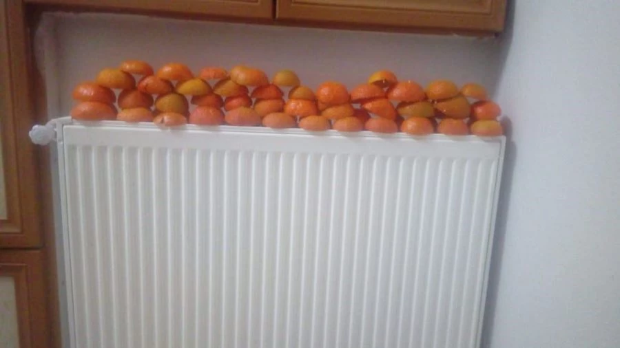 NARENCİYENİN  KABUĞU DA DEĞERLİ