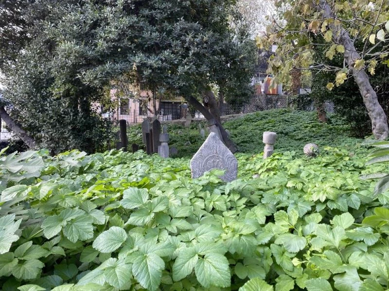 (Özel) İstanbul’da tarihi hazirenin içler acısı hali yürekleri burktu
