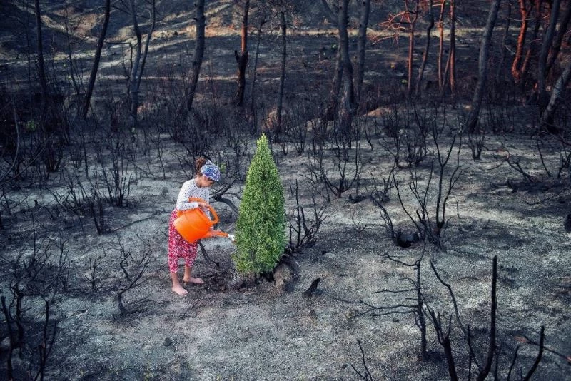 Bir fotoğrafçının gözünden: 