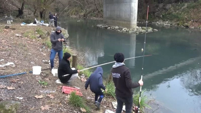 Sürüler halindeki tatlı su kefalleri ilgi çekiyor
