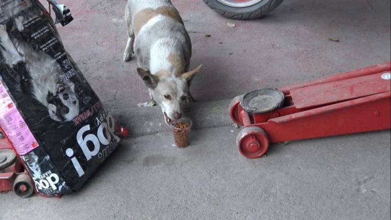 Edirne sanayisinin istifçi ‘Pati’si
