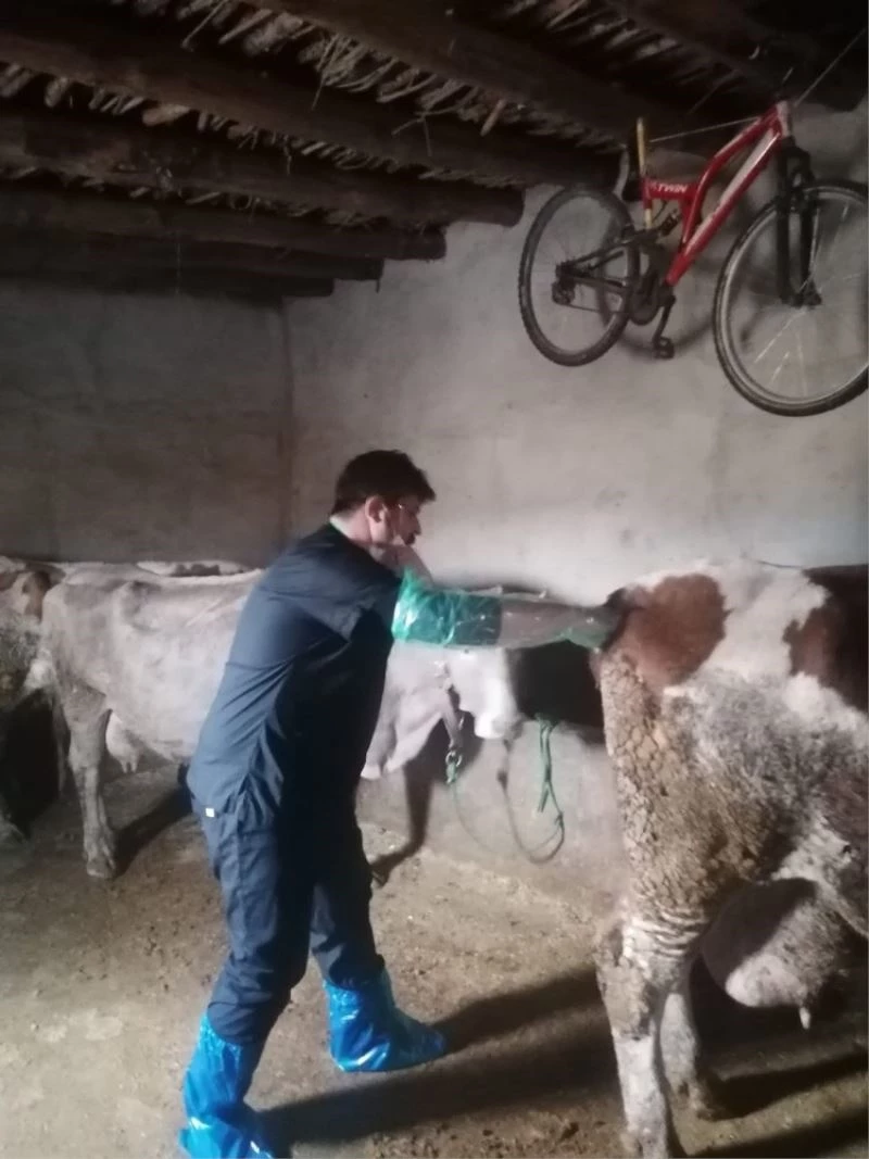 Van’da suni tohumlama hizmeti
