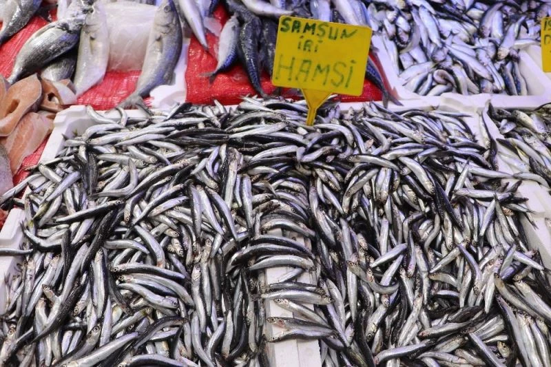 Havalar soğudu, balıklar yağlandı
