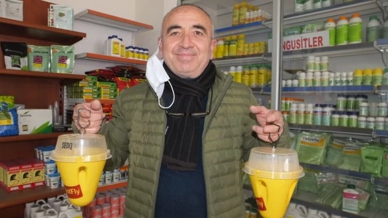 Burhaniye’de zeytin sineğine karşı organik tuzaklar kullanılacak
