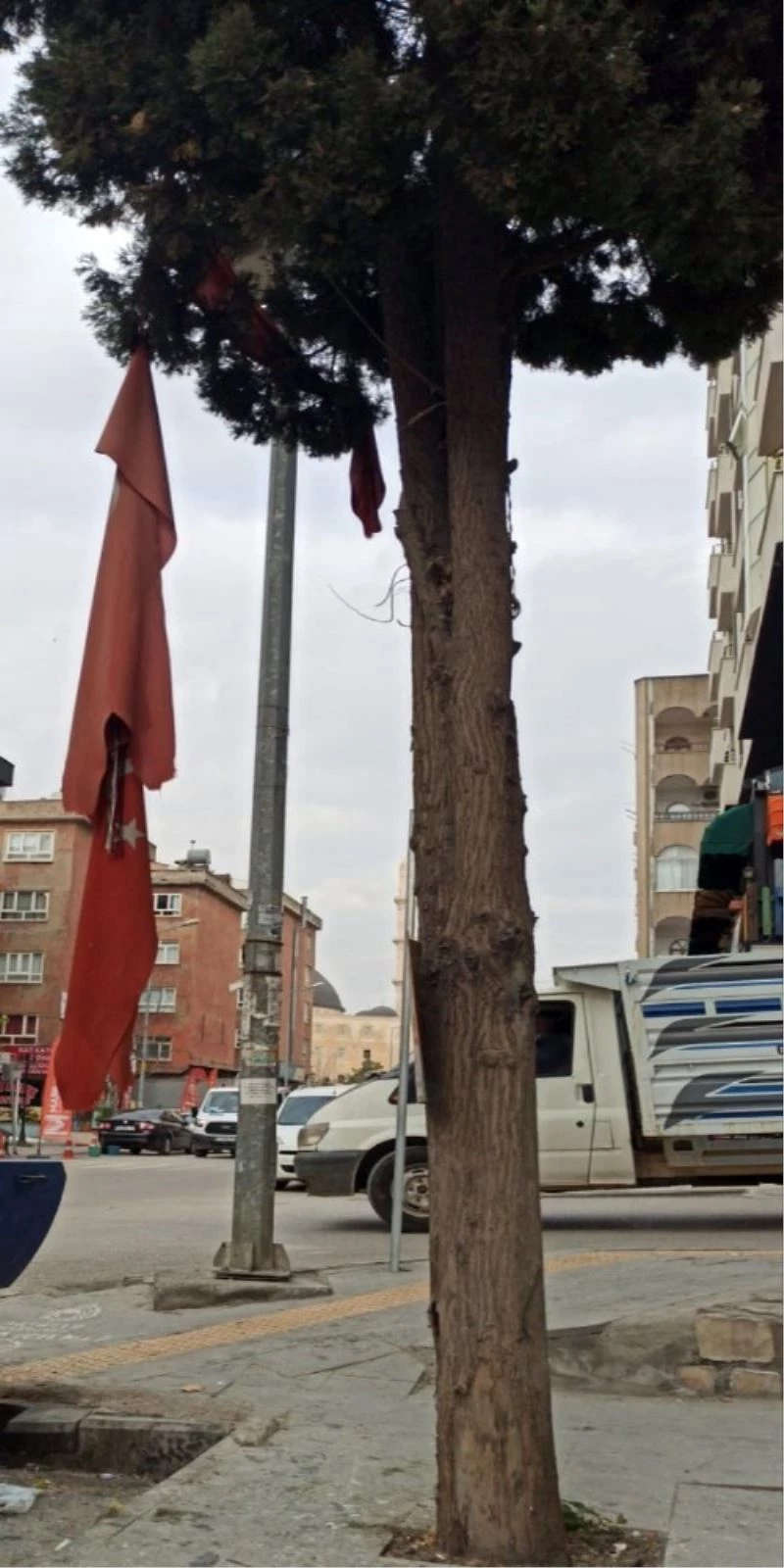Mardin’de rüzgardan zarar gören Türk bayrağı, vatandaşın duyarlılığıyla yenilendi
