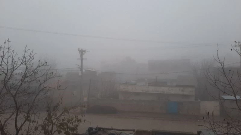 Mazıdağı’nda etkisini gösteren sis hayatı olumsuz etti
