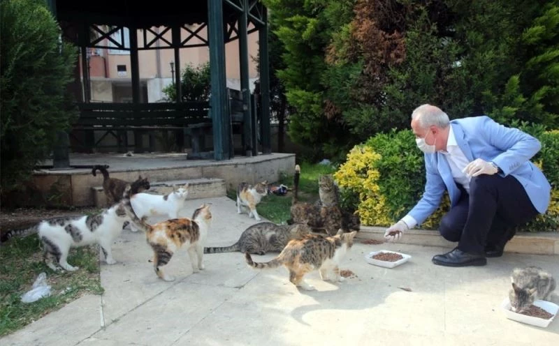 Akdeniz’deki parklara sokak hayvanları için uyarıcı levhalar dikildi
