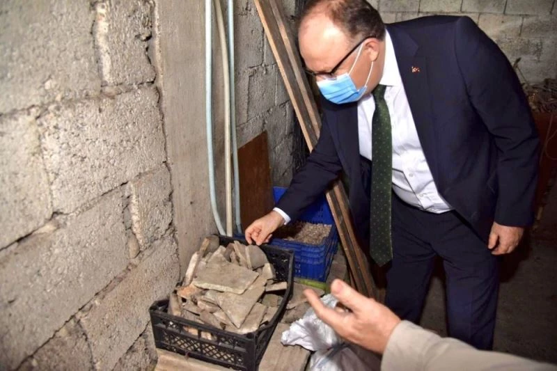 Vali Tutulmaz, Kadıoğlu Mozaiklerini inceledi
