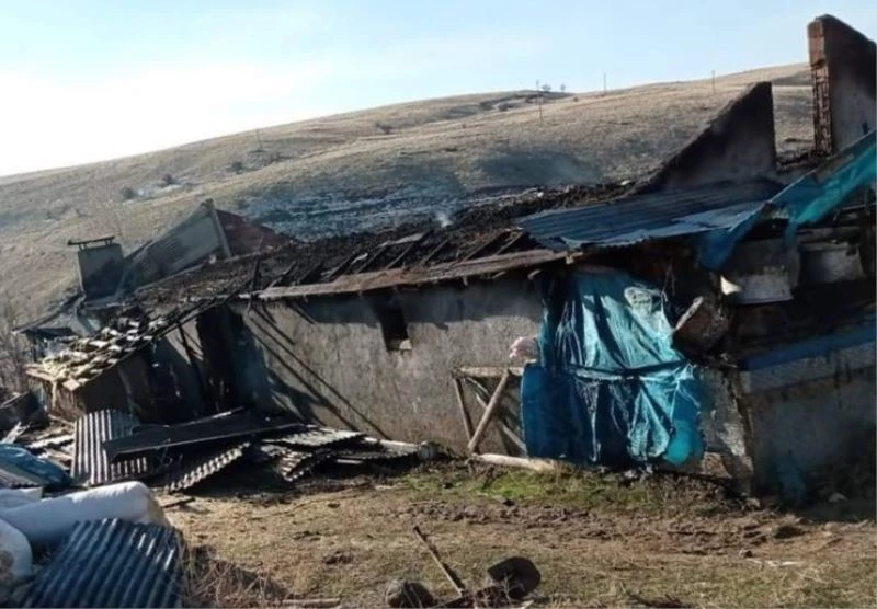 Elektrik kontağından çıkan yangın, 12 hayvanı telef  etti
