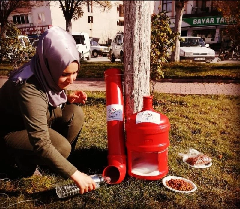 Eski damacanalar kedi yuvası oldu
