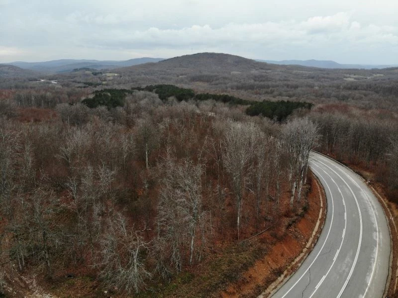 (Özel) Istranca Ormanlarında renk cümbüşü
