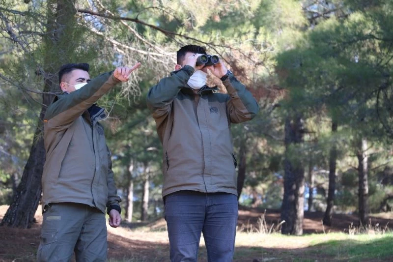 Terörden koruduğu dağlarda şimdi yaban hayatını koruyor
