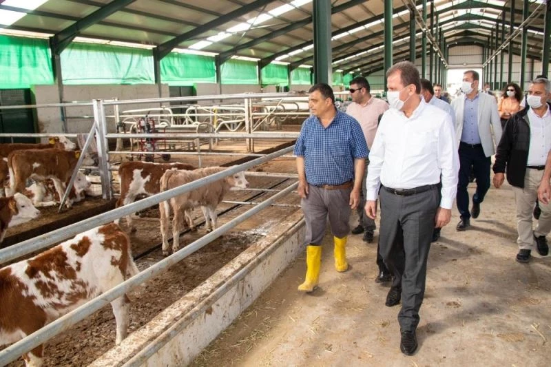 Mersin Büyükşehir Belediyesi, 2021’de tarım projelerine 24 milyon lira harcayacak
