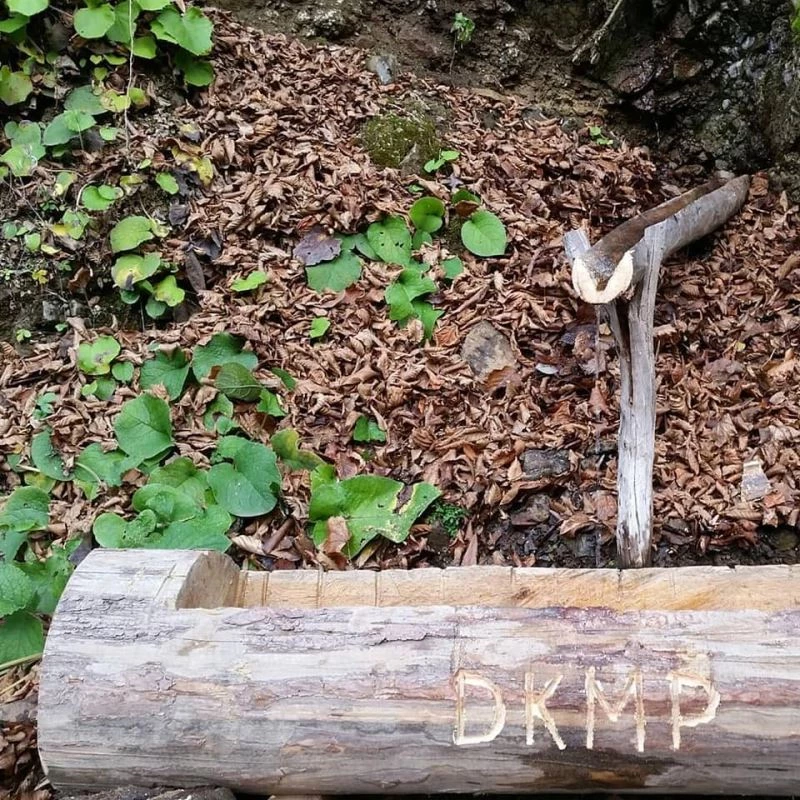 Yaban hayvanlarının imdadına yetiştiler
