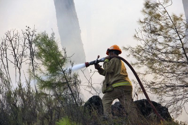 Pandemi döneminde 813 hektar alan yandı
