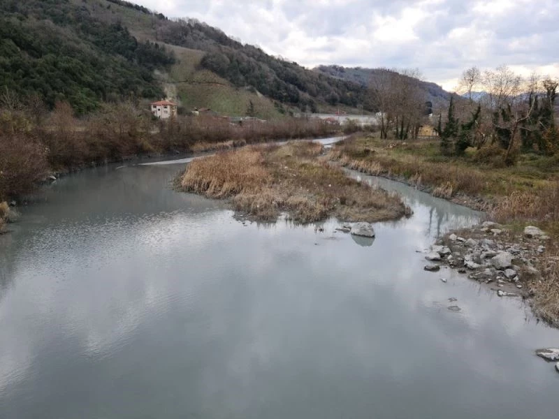 Fabrika atıklarının kirlettiği dere çamur akıyor
