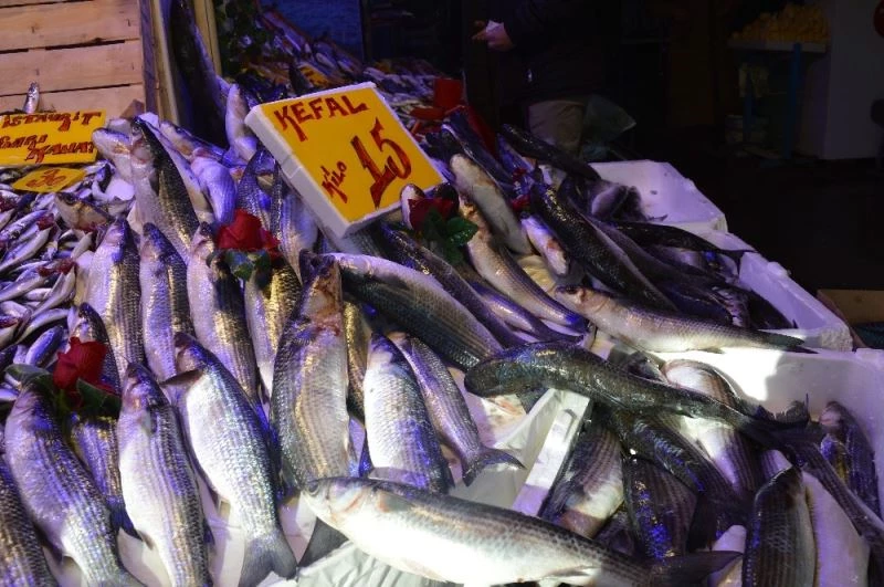 Kefal 15 lira ile tezgâhın en ucuz balığı oldu
