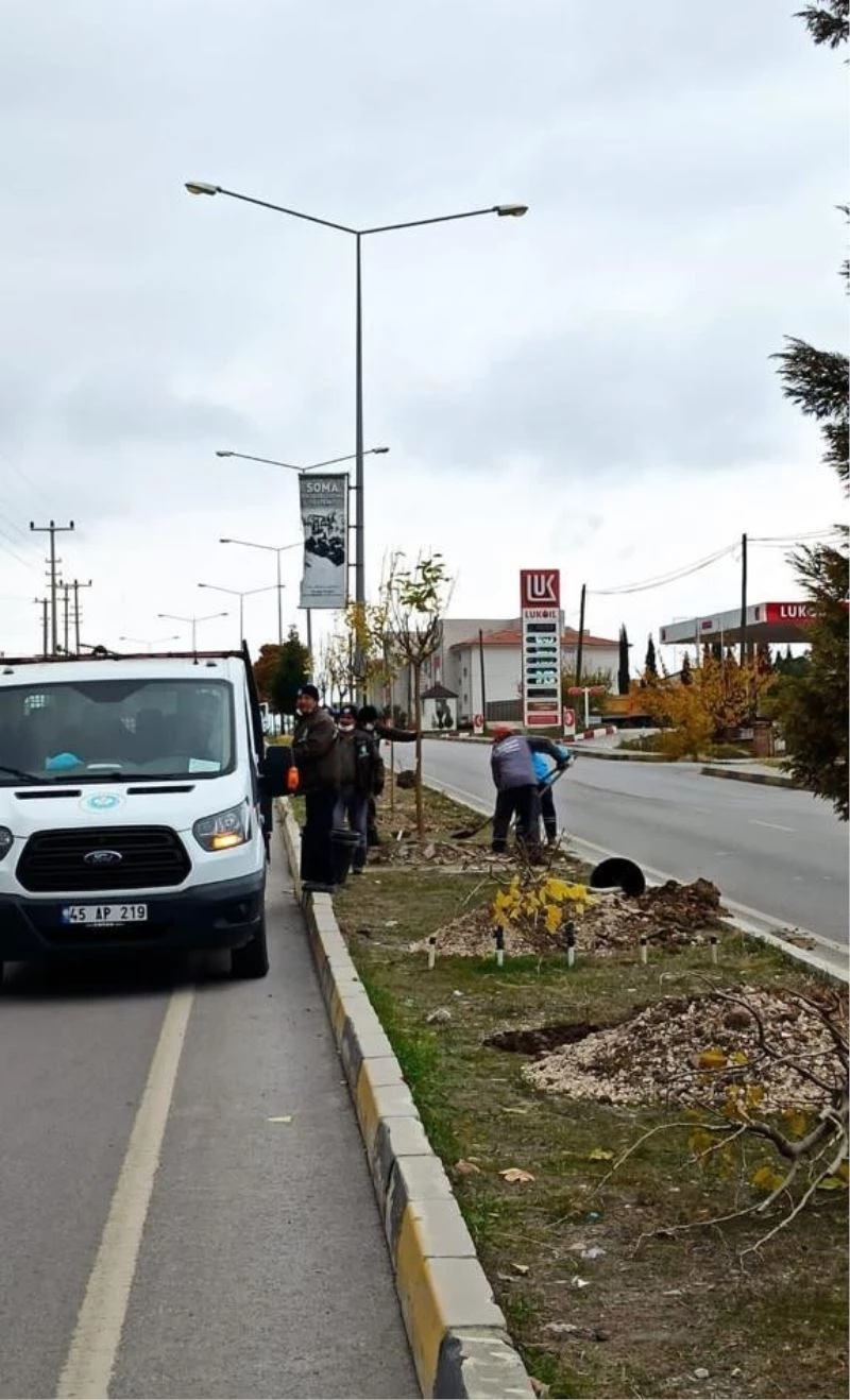 Maden Şehitleri Caddesi ağaçlandırılıyor

