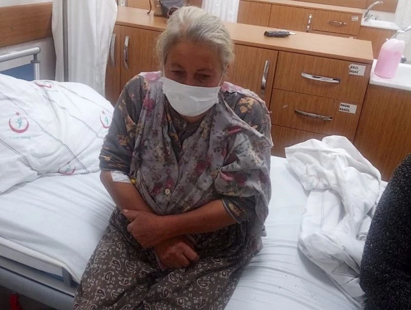 Kardeşlerin ağaç kesme tartışması aile dramına döndü
