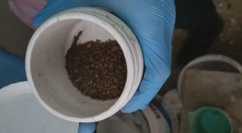 Kümesten uyuşturucu çıktı
