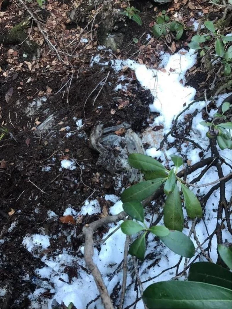 Giresun’da bölücü terör örgütüne ait erzak deposu bulundu
