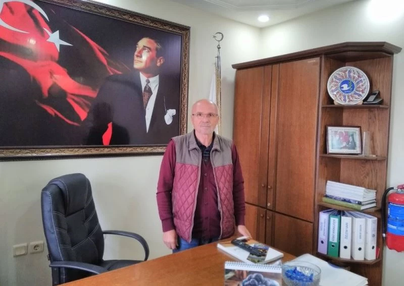 Zeytin üreticine 7 milyon 724 bin ödeme
