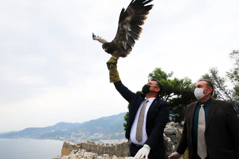 Başkan Yücel, tedavisi tamamlanan kartalı doğaya saldı
