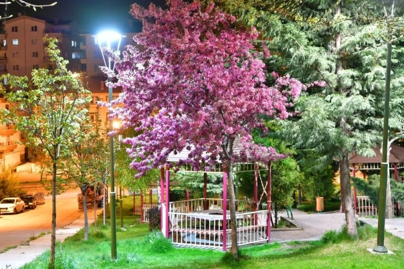 Başkentin parlayan yıldızı Mamak
