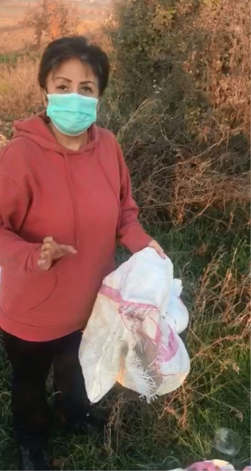 Bunun adı vicdansızlık...12 köpeği canlı canlı çuvala koyup ölüme terk ettiler
