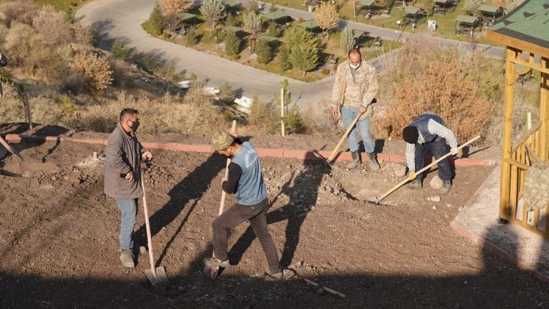 Kartaltepe Mesire Alanı ağaçlandırılıyor
