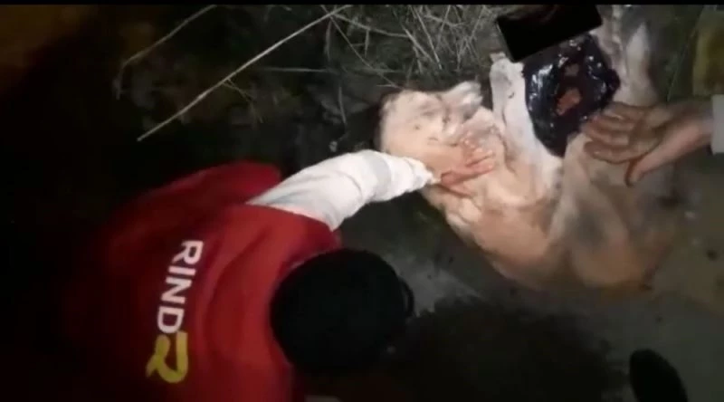 Yüzüne tutkal sürüldü, yetmedi bir de araba çarptı
