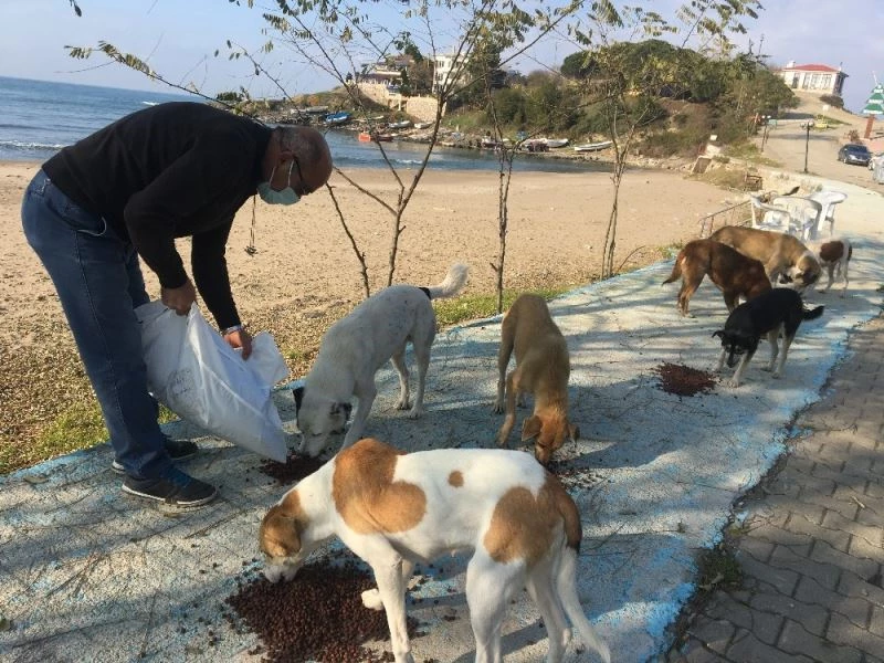 Kısıtlamada yiyecek bulamayan hayvanlar için seferber olundu
