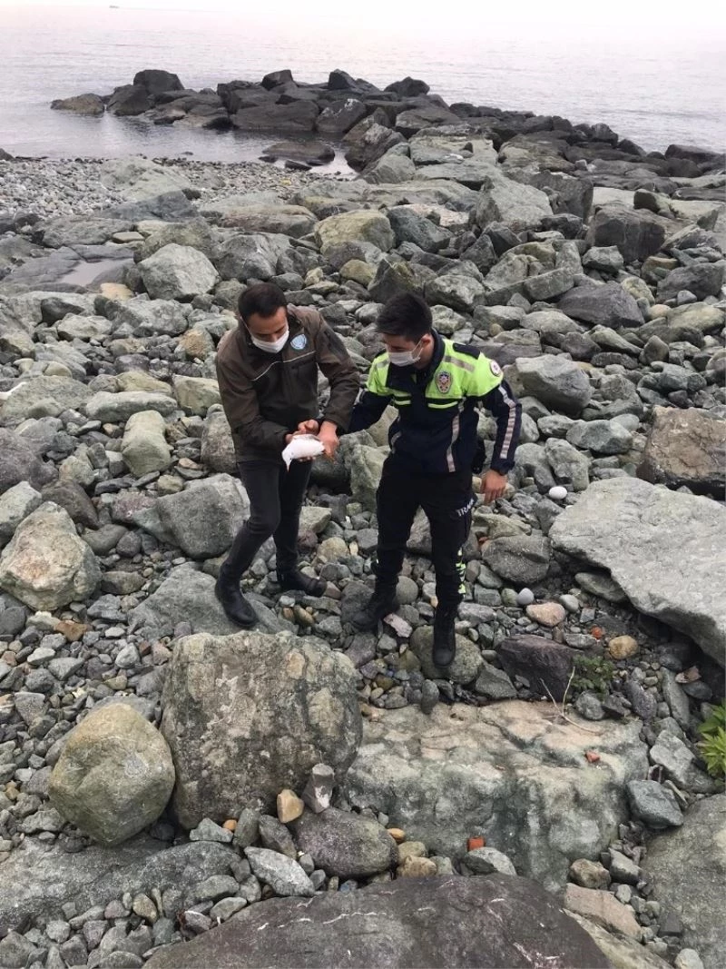 Kayaların arasına sıkışan yaralı martıyı trafik polisi kurtardı
