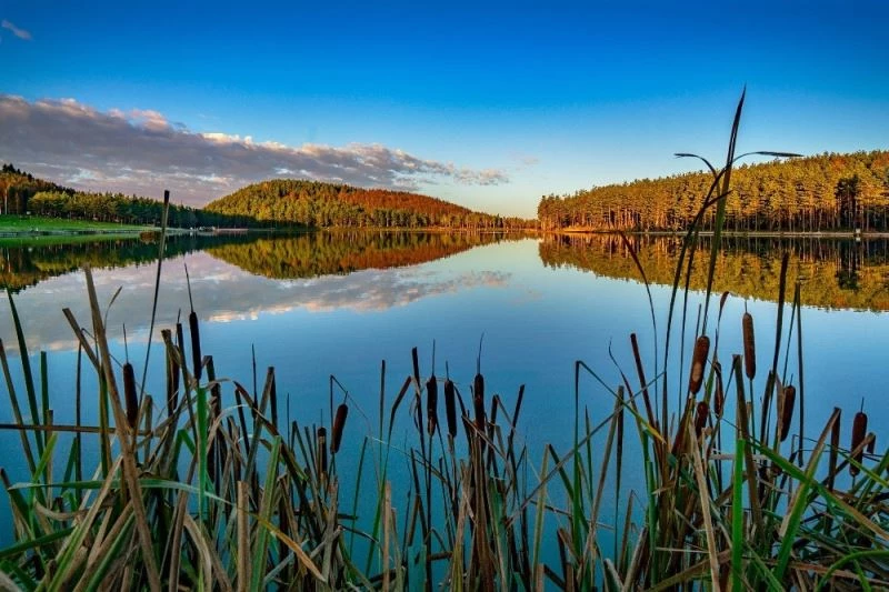 Sonbaharın güzellikleri Topuk Yaylasında renk cümbüşü oluşturdu

