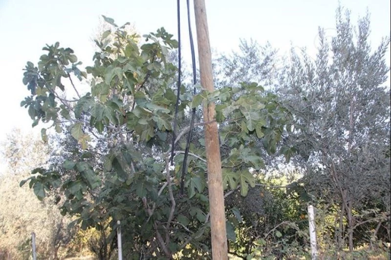 Kabloları çalan hırsızlar 20 köyü internetsiz bıraktı
