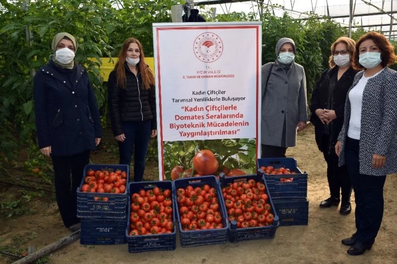 Biyoteknik mücadeleli serada hasat başladı
