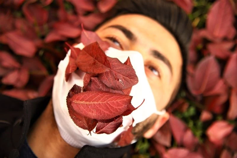 Elazığ’da sonbaharın son demleri görsel şölen oluşturuyor
