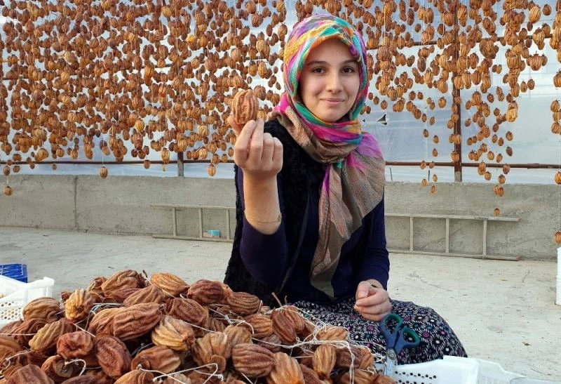 Cennet hurması, altın yılını yaşıyor
