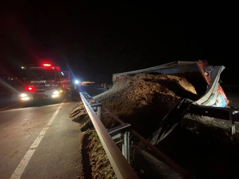 Düzce’de talaş yüklü kamyon devrildi sürücüsü yaralındı
