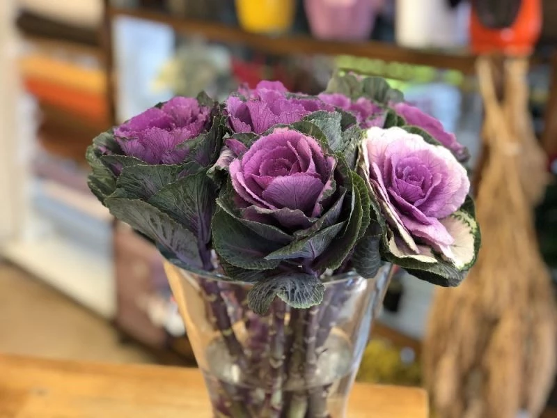 Çiçekçiler yılbaşından umutlu
