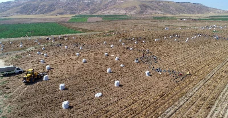 Erzincan havzasında 2021 yılında desteklenecek ürünler belli oldu
